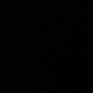 Meet your Posher, Mallory